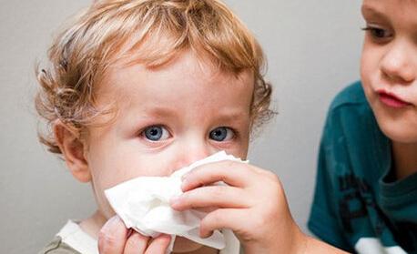 ��Щ���粻�ܴ�Ҫ����(j��)���������w�|(zh��)����