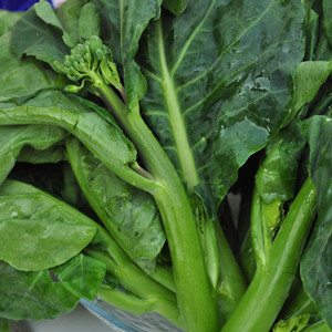 �ЋD�ܳԽ��{(l��n)����