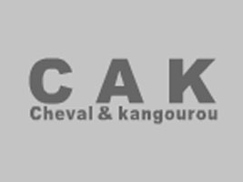 �����ГPԽ���I(y��)���޹�˾