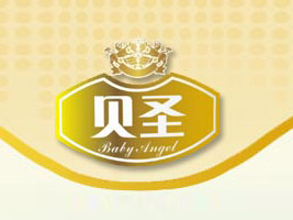 �����ی�������Ƽ����޹�˾