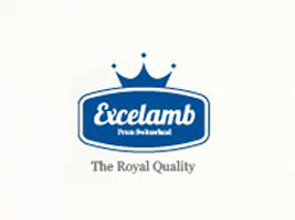 ��ʿ�ʼ�ˎ�Iĸ����Ʒ���޹�˾