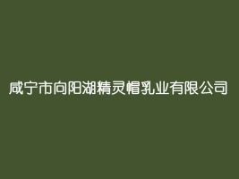 �̌�����ꖺ����`ñ��I���޹�˾
