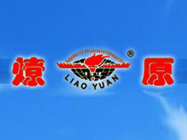 ��ԭ��I(y��)����؟�ι�˾