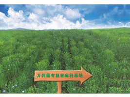 ��(n��i)�ɹ��f(w��n)��������Ƽ����޹�˾