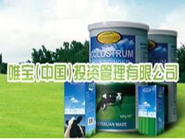 Ψ�����Ї���Ͷ�Y�������޹�˾