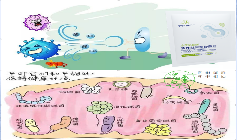 �������������Ů��˽̎΢���B(t��i)ƽ��