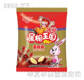 ��z�����������������