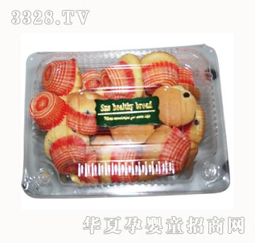 ʥʿ������