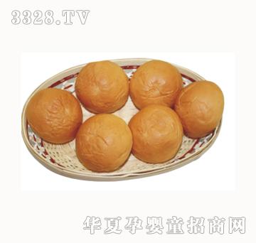 ʥʿ����t���Ͱ�