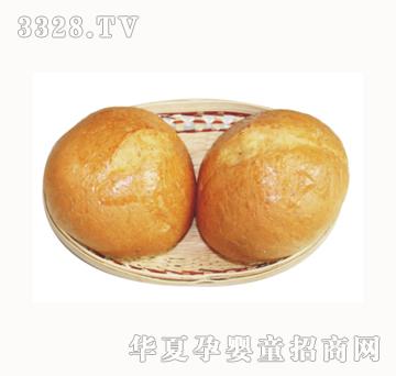 ʥʿȫ�������