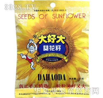 ��ô������