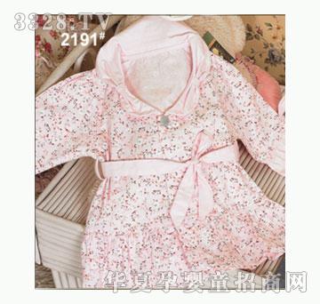 ��ʹ����2191�����