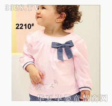 ��ʹ����2210�����