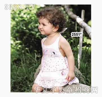 ��ʹ����2551�����