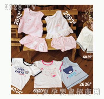 ��ʹ����2593�����