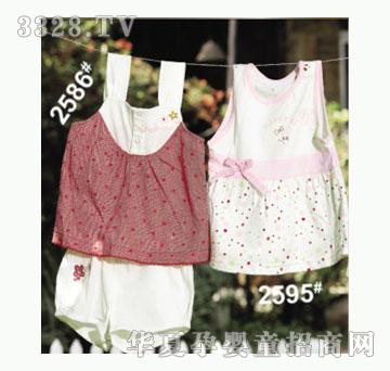 ��ʹ����2586�����