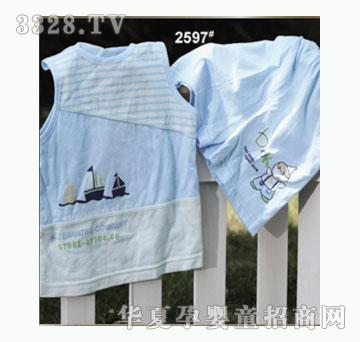 ��ʹ����2597�����