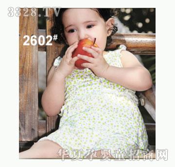 ��ʹ����2602�����