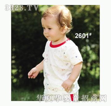 ��ʹ����2601�����