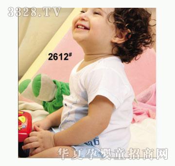 ��ʹ����2612�����