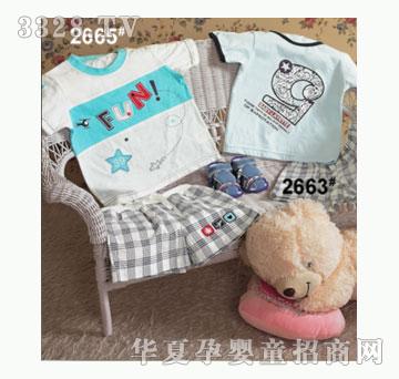 ��ʹ����2663�����