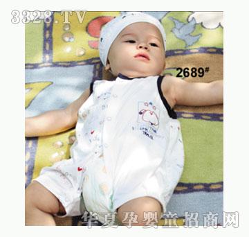 ��ʹ����2689�����