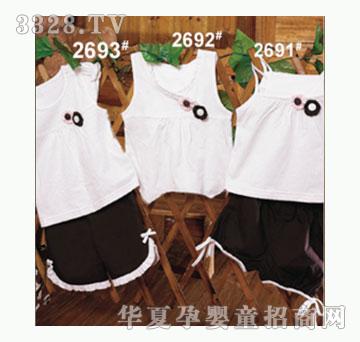 ��ʹ����2693�����