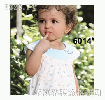 ��ʹ����6014