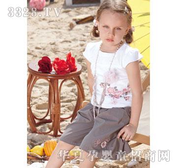 ����2012�ﶬ-34��ɫT��