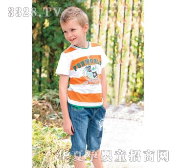 ����2013����-36