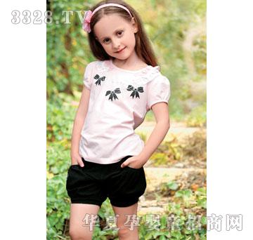 ����2013����-24