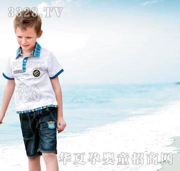 ����2013����-16