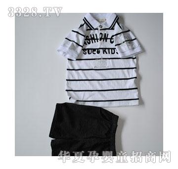 �����ˬ�M�l��ĸPOLO�I��T��