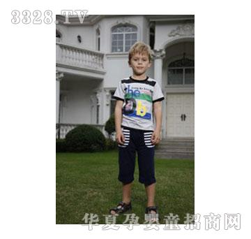 ���DB���䣨��������ϼt����ɫ��