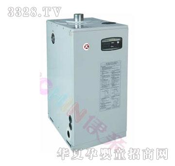 ���H�n��(gu��)�c�|ȼ�͟�ˮ偠t300GA