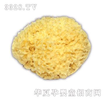 �����ε��к��؃��|��d