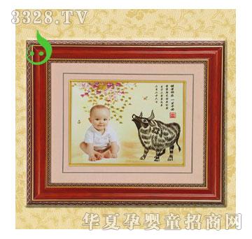 С���ӽ�(j��ng)��CN-17���