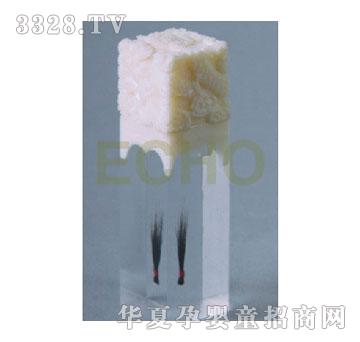 �ۿɷ���������