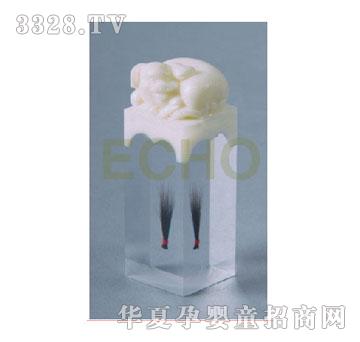 �ۿɷ������y�i