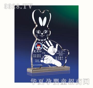 ѩ�q��������ò���_ӡ