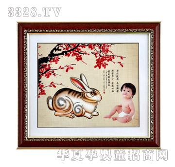 ���ĸ�����İ���