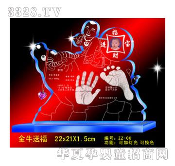 �����ţ�͸��ſ�������ӡ