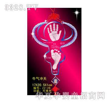 ����ţ��_���ſ�������ӡ