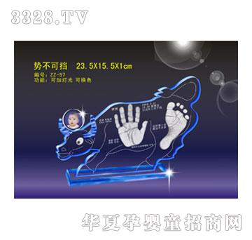 ����ݲ��ɓ��ſ�������ӡ