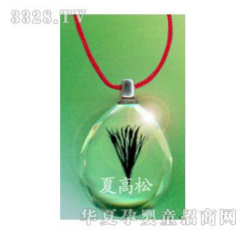 SA�ɐ�ˮ�����։�