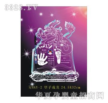 SA�ɐ����ӳ�������ӡ