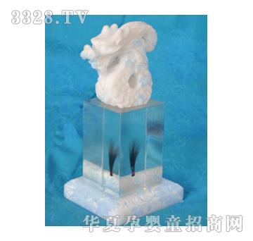 ���Ɍ�ؐ����������t