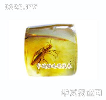 ����������|(zh��)̥ë��