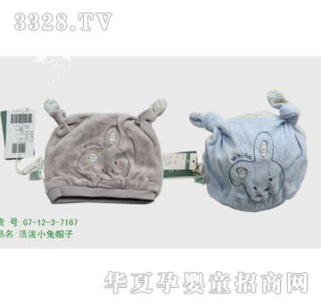 �s�A2012�¿ƷG7-12-3-7167