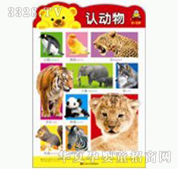 ���O���J����